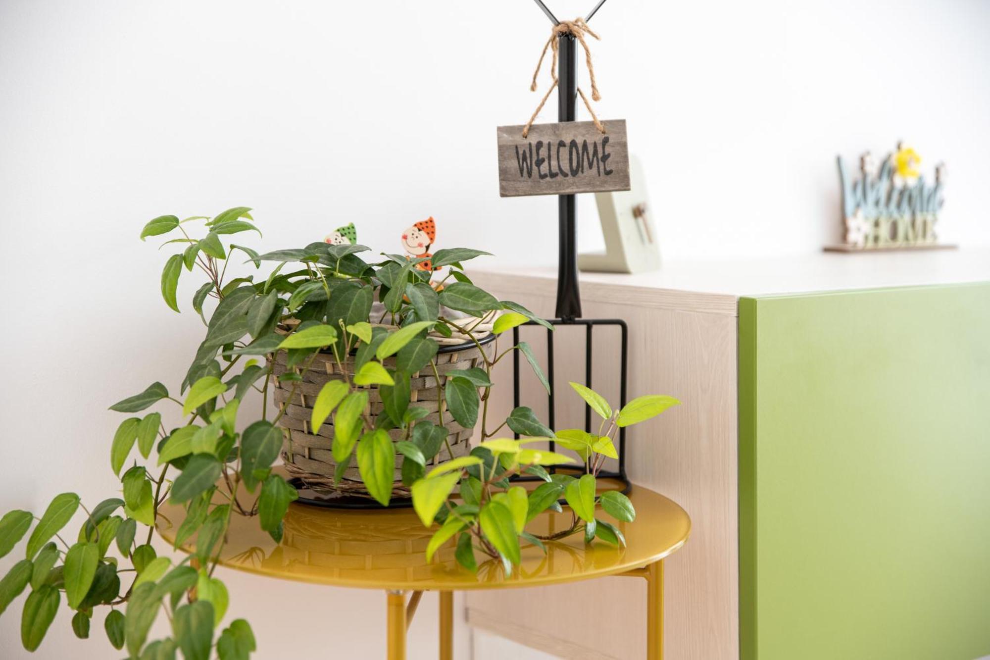 Springhome - Cozy Apartment With Balcony & Parking Braşov Extérieur photo