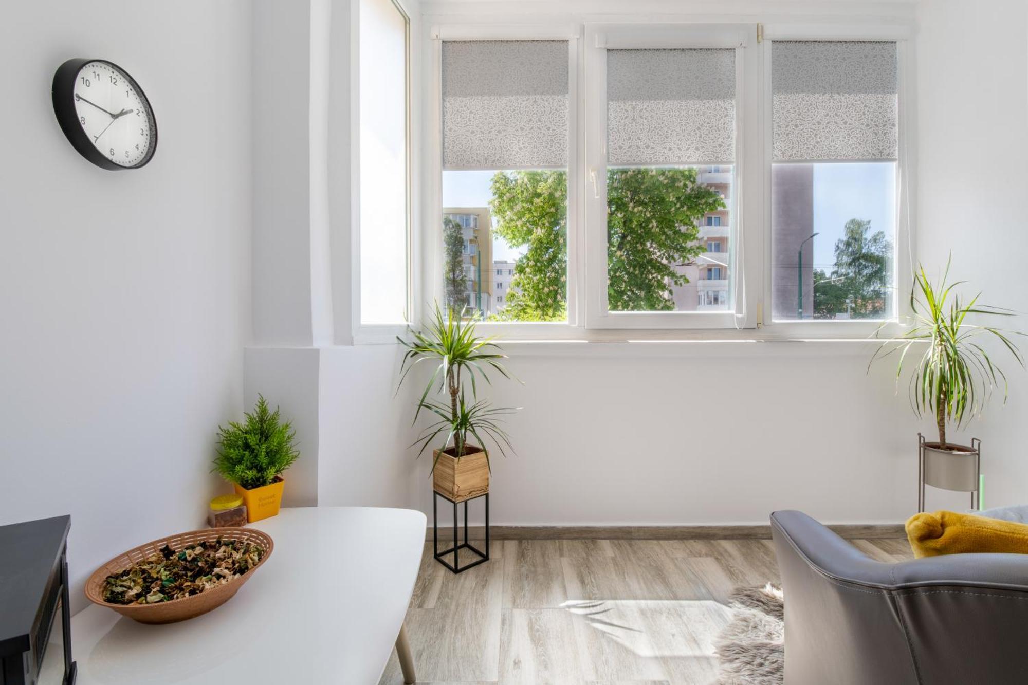 Springhome - Cozy Apartment With Balcony & Parking Braşov Extérieur photo